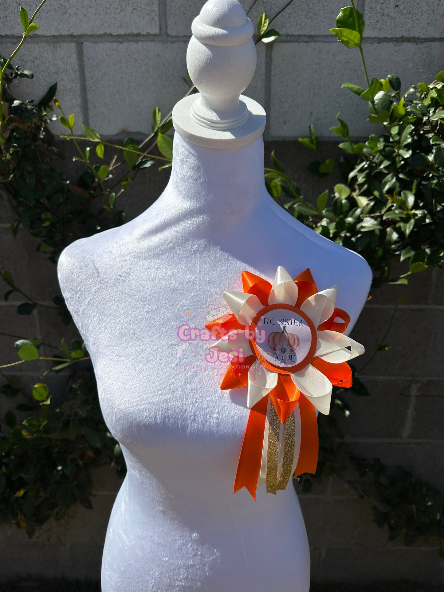 Mom to Be Sash